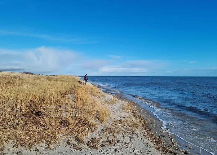 Semesterbostad 6 Person In Hals-by Traum