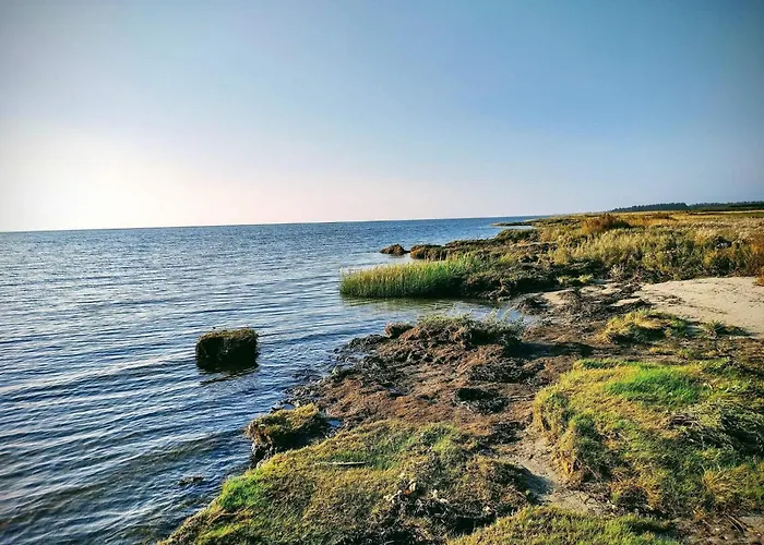 Semesterbostad 6 Person In Hals-by Traum